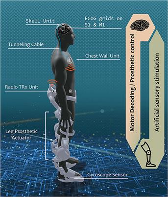 Benchtop and bedside validation of a low-cost programmable cortical stimulator in a testbed for bi-directional brain-computer-interface research